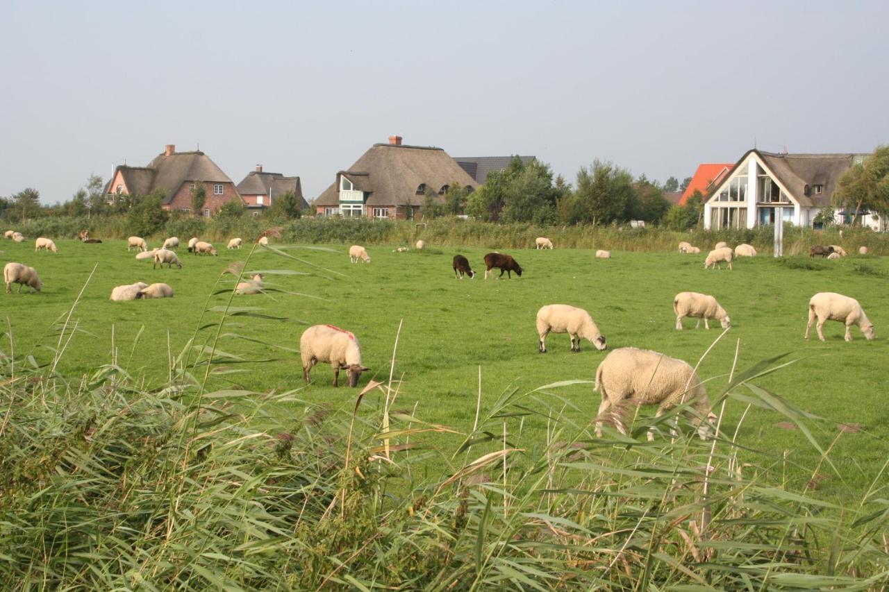 Gaestehaus Gudrun Tönning Buitenkant foto